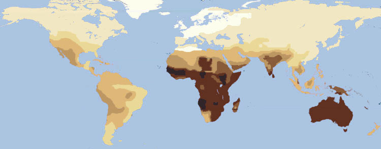 Grafische darstellung der Weltkarte in Bezug auf die Hautfarbe, und der daraus resultierenden unterschiede der Sonnenempfindlichkeit.